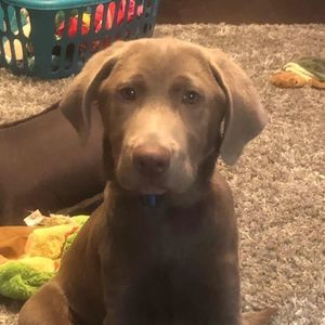 Meet your Posher, Shawna